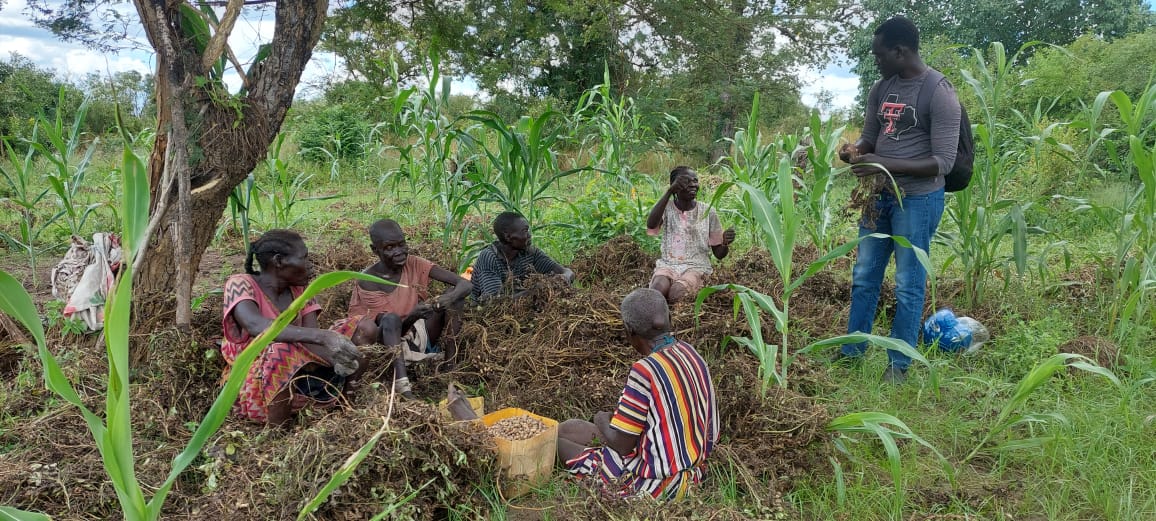 Boots in the Soil: The Officer Who Turns PRO Seed’s Plans Into a Farmer’s First Successful Harvest